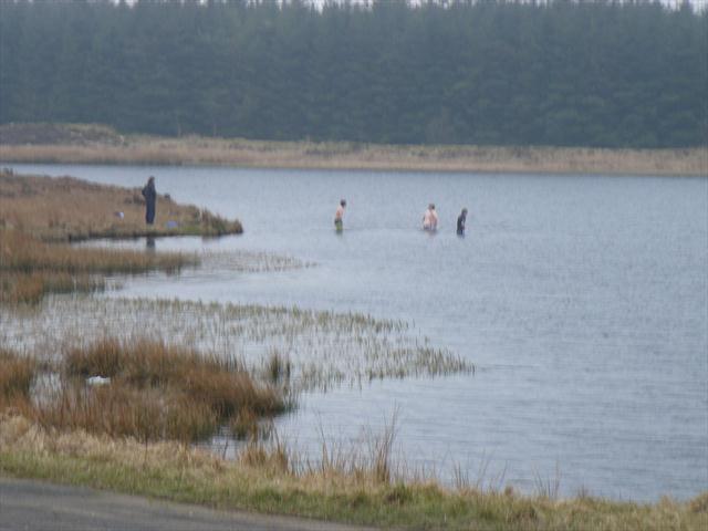 Jezero v lesoparku
