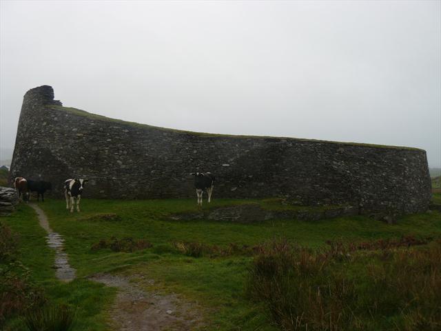 Pevnost chráněná kravkami