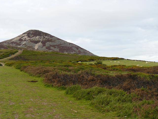 Hora z dálky a ovečky na pravoboku
